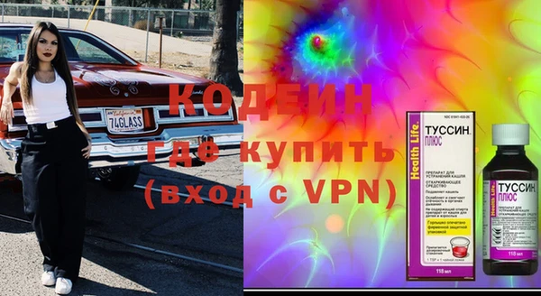 ПСИЛОЦИБИНОВЫЕ ГРИБЫ Вяземский